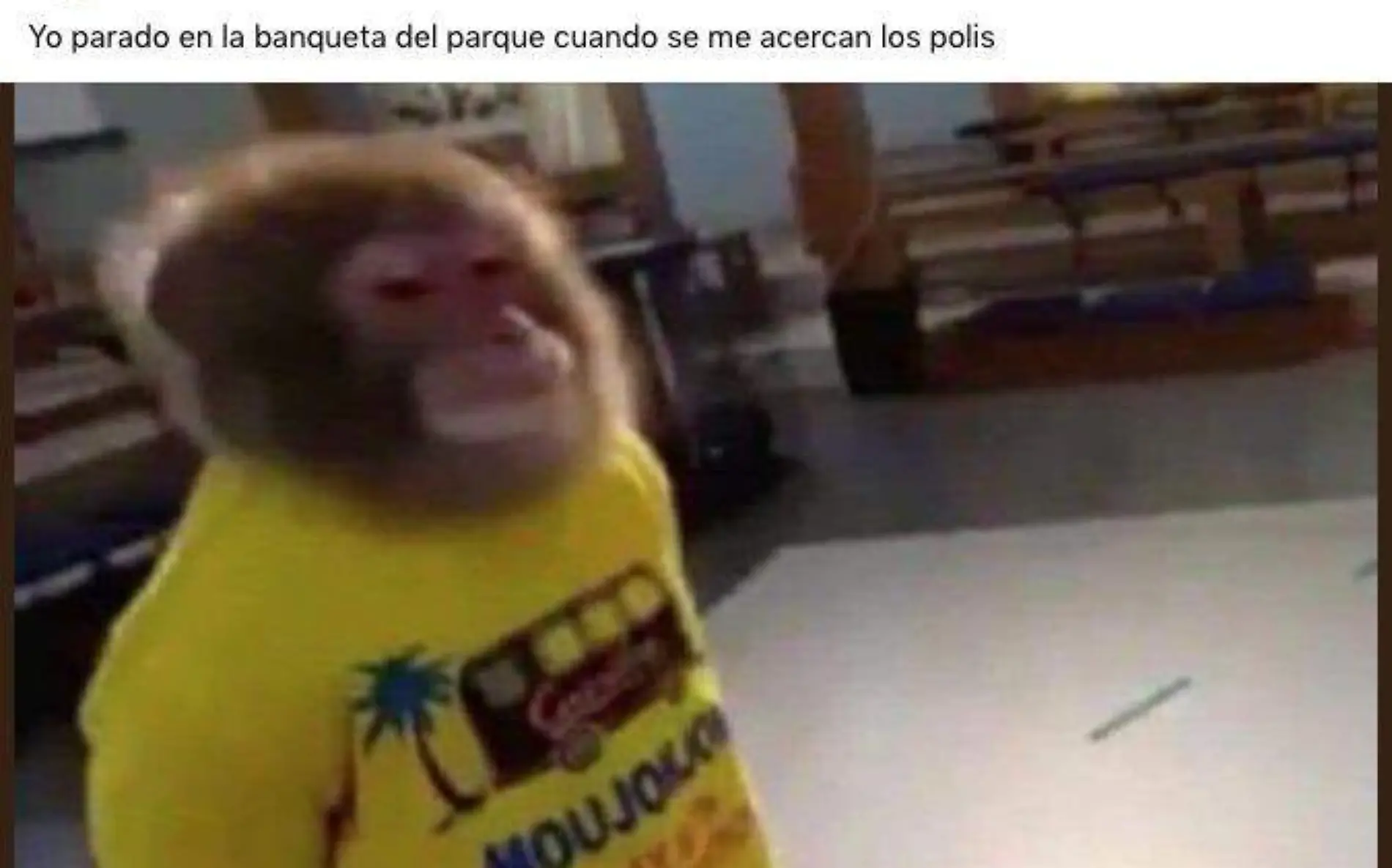 meme changuito